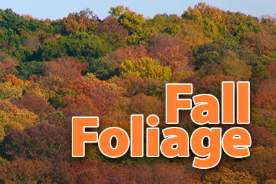 Fall Foliage Lunch Cruise Thumbnail
